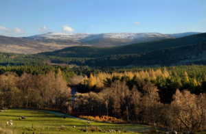 Cairngorms National Park01